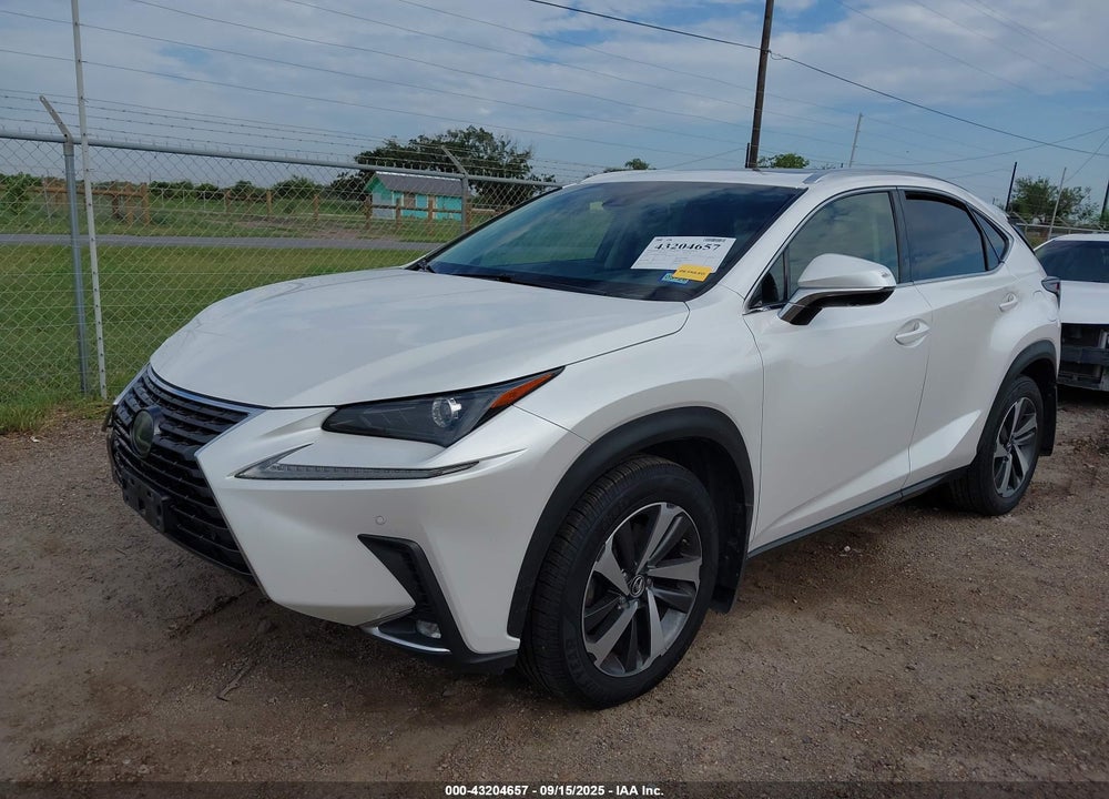2019 LEXUS NX 300 VIN: JTJYARBZ6K2126299