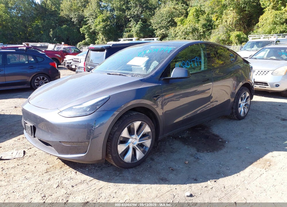2023 TESLA MODEL Y VIN: 7SAYGDEE0PF639018