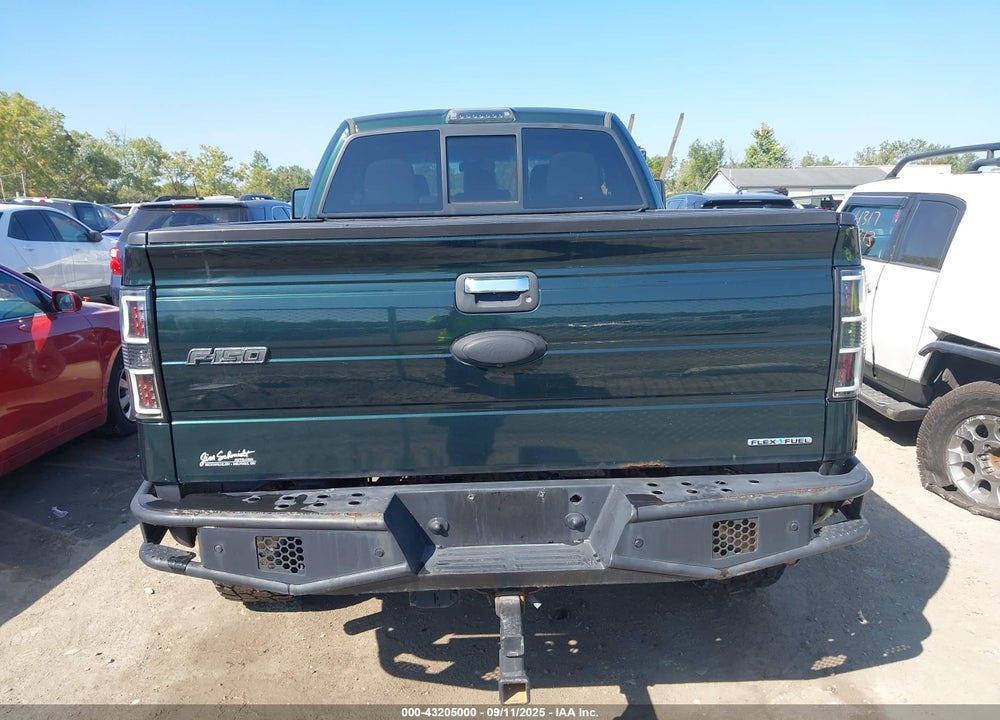 2013 FORD F-150 VIN: 1FTFX1EFXDFA44180