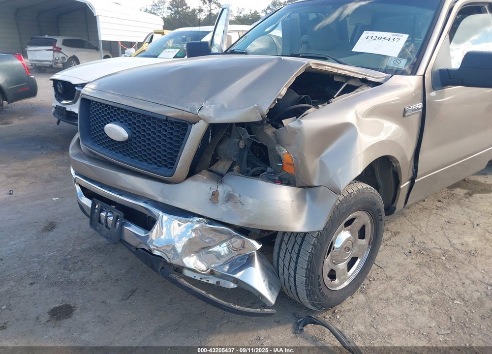 2006 FORD F-150 VIN: 1FTRX12W06FA41342