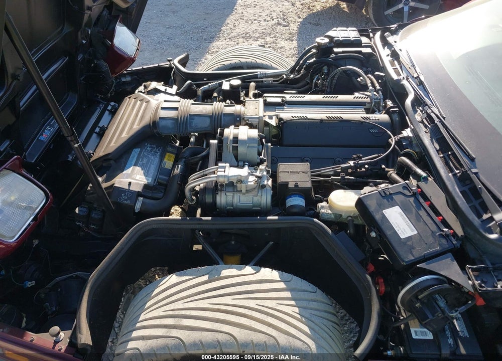 1993 CHEVROLET CORVETTE VIN: 1G1YY33P0P5118593