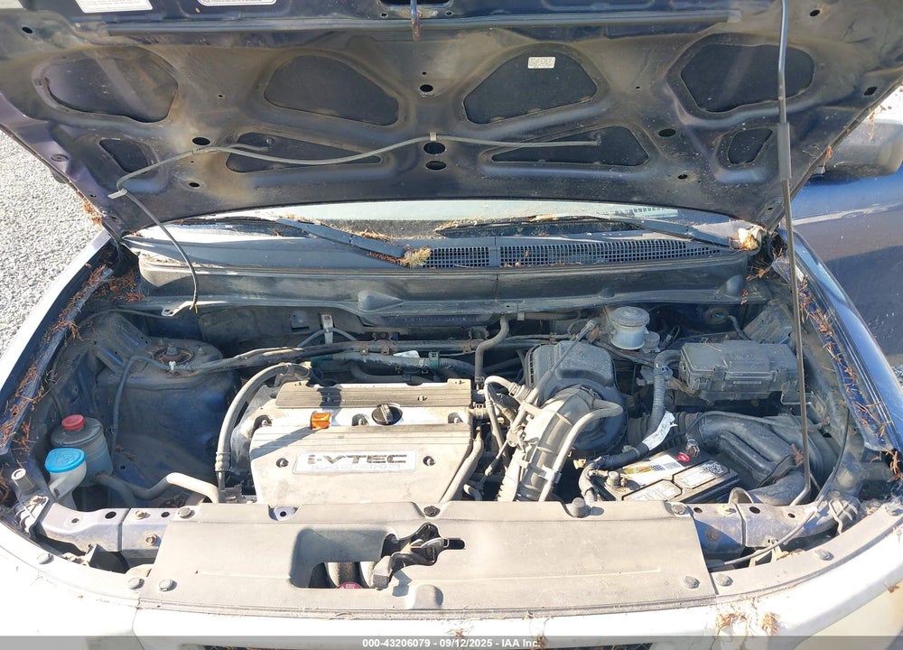 2003 HONDA ELEMENT DX VIN: 5J6YH272X3L028576