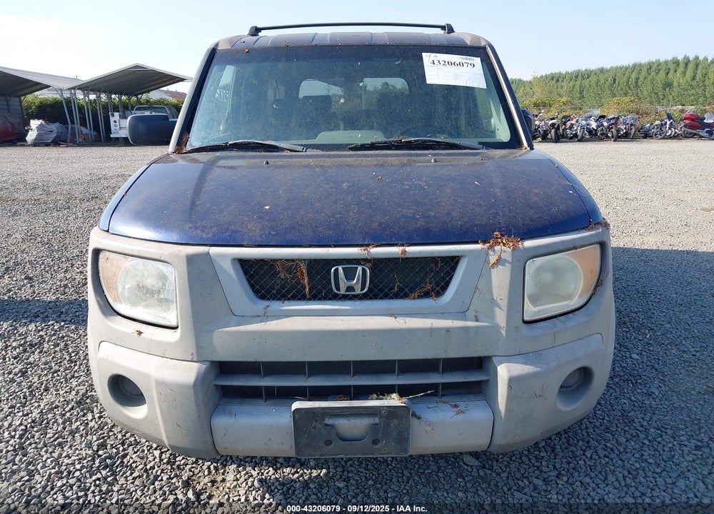 2003 HONDA ELEMENT DX VIN: 5J6YH272X3L028576