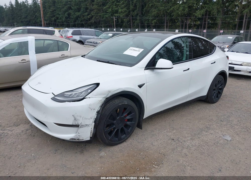 2021 TESLA MODEL Y VIN: 5YJYGDEE8MF241287