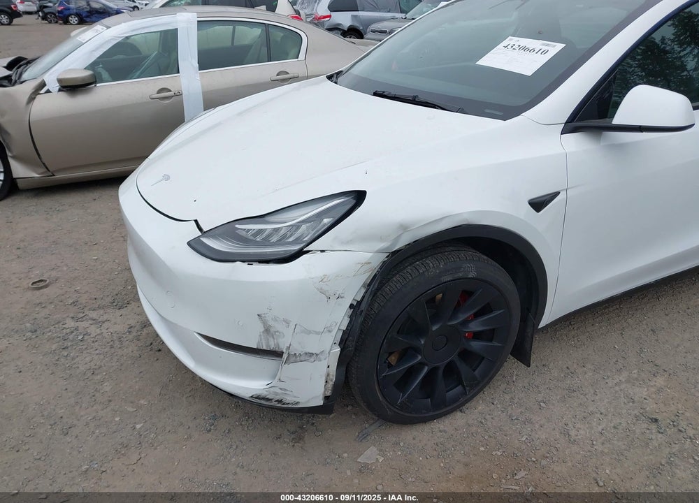 2021 TESLA MODEL Y VIN: 5YJYGDEE8MF241287