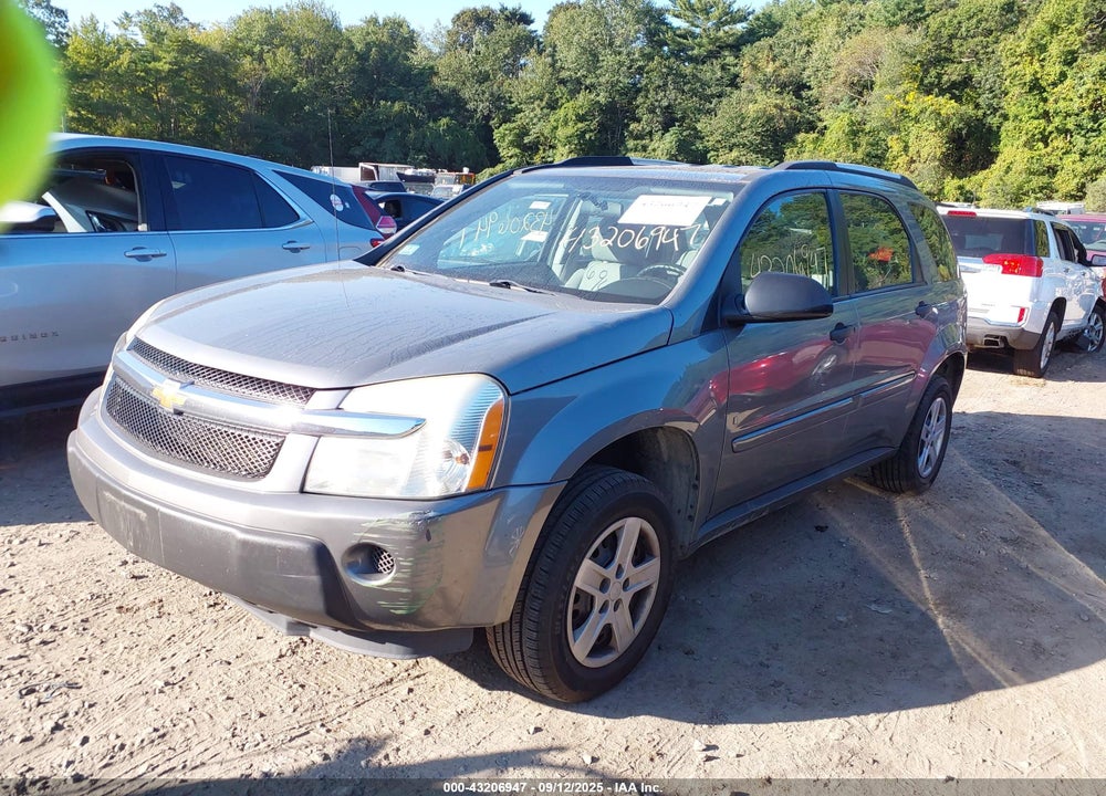 2006 CHEVROLET EQUINOX LS VIN: 2CNDL23F066193718