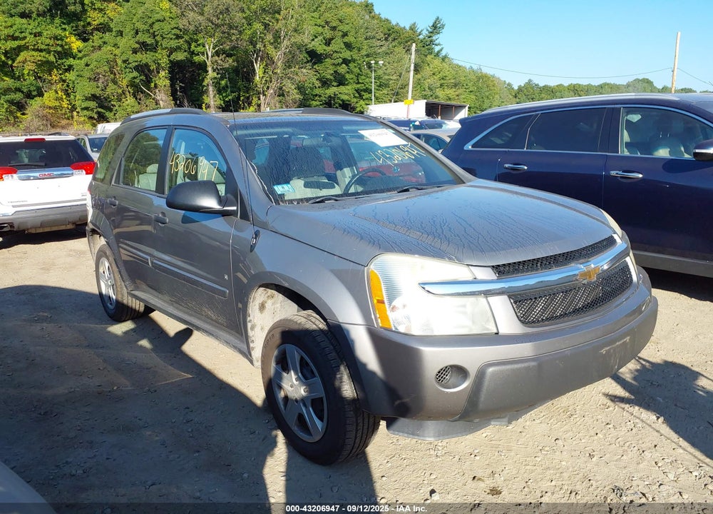 2006 CHEVROLET EQUINOX LS VIN: 2CNDL23F066193718