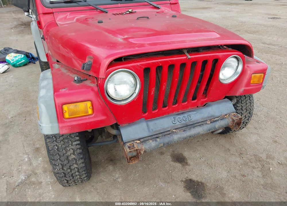 2001 JEEP WRANGLER SPORT VIN: 1J4FA49S81P313805