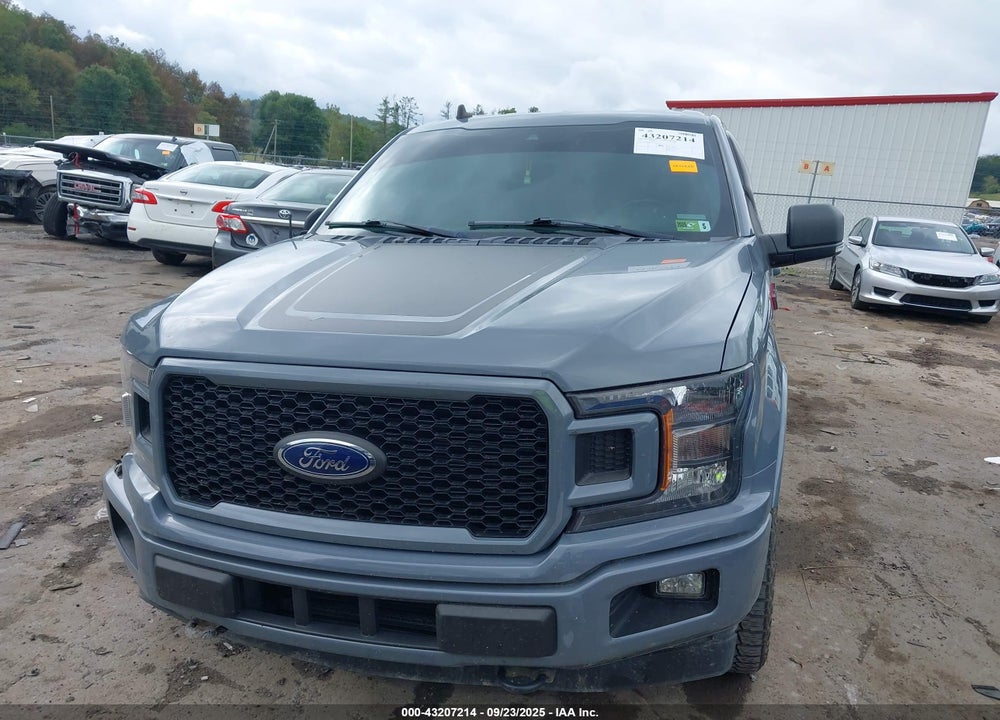 2019 FORD F-150 XLT VIN: 1FTEW1EP0KFC43226