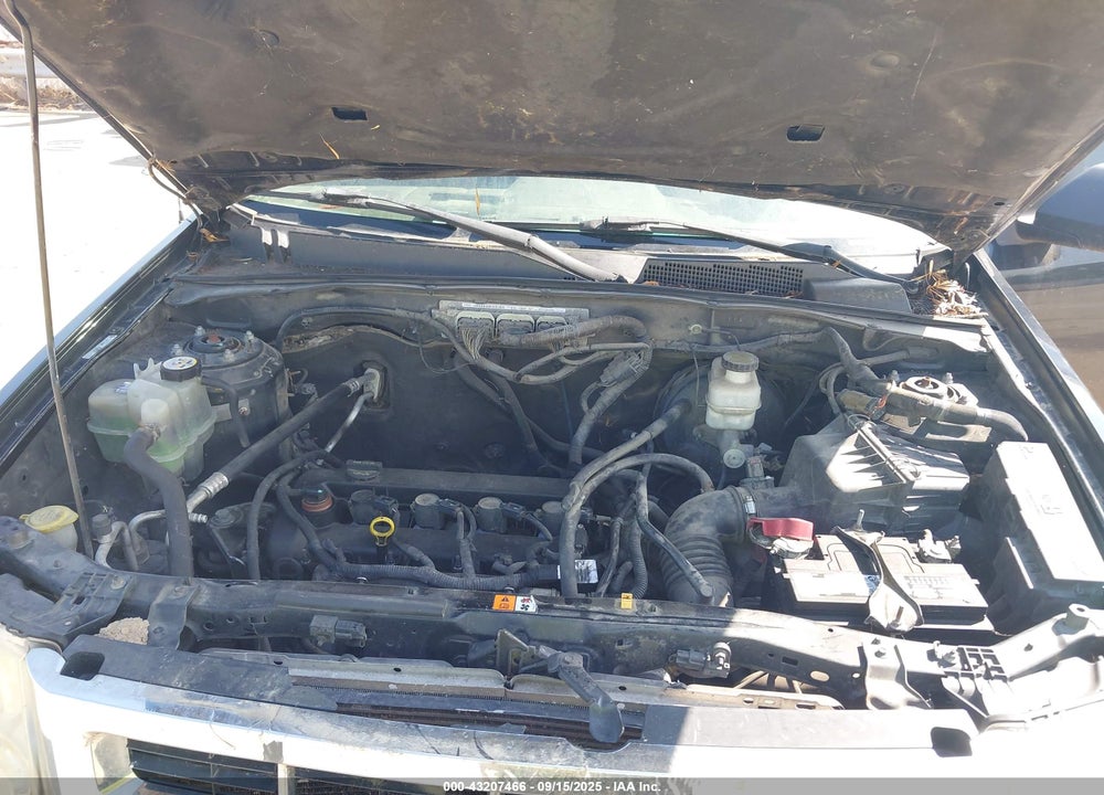 2012 FORD ESCAPE XLT VIN: 1FMCU0D74CKA28915