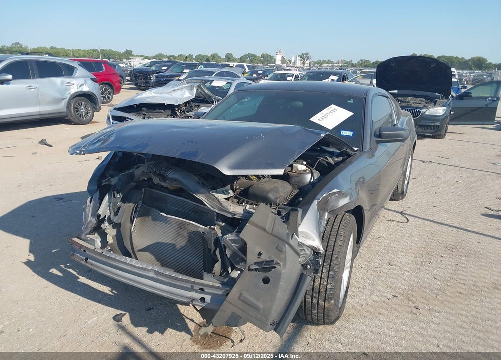 2014 FORD MUSTANG VIN: 1ZVBP8AM1E5312825