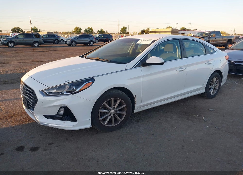 2019 HYUNDAI SONATA VIN: 5NPE24AF9KH752828