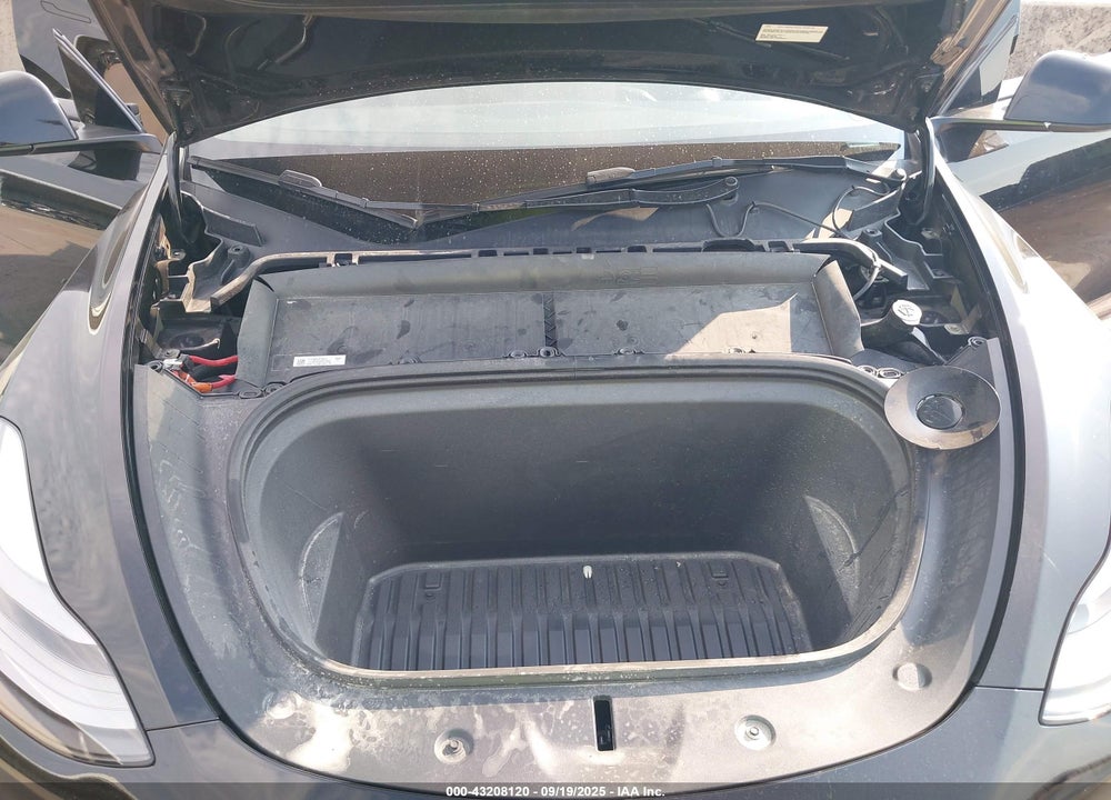 2023 TESLA MODEL Y VIN: 7SAYGAEE3PF878917
