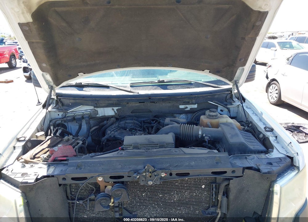 2011 FORD F-150 VIN: 1FTMF1CM5BKD52759