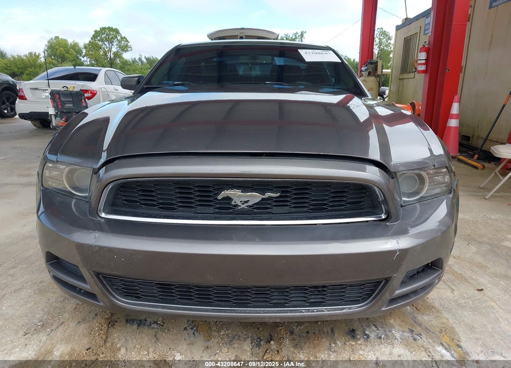 2013 FORD MUSTANG VIN: 1ZVBP8AM1D5260370