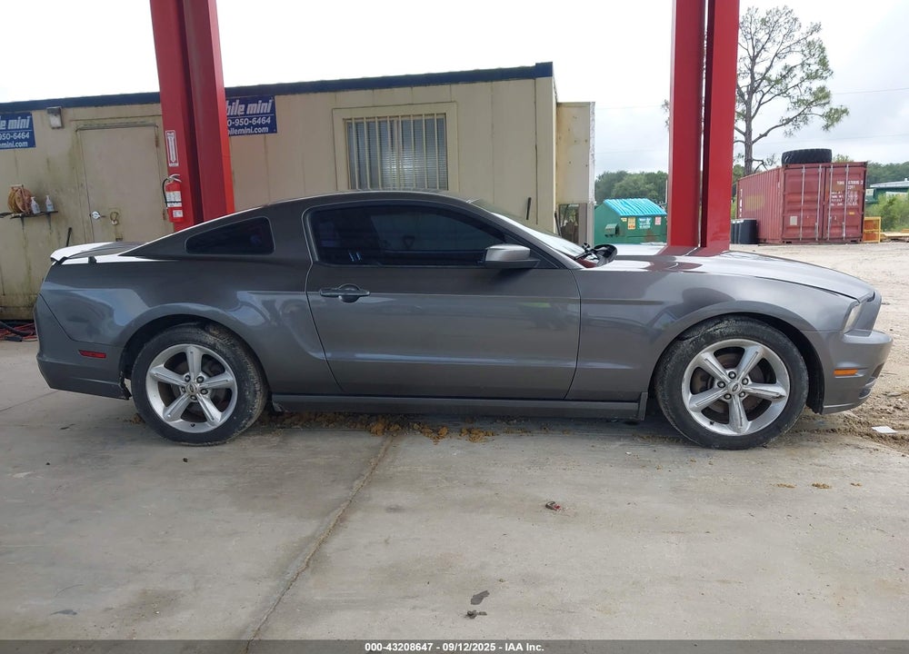 2013 FORD MUSTANG VIN: 1ZVBP8AM1D5260370