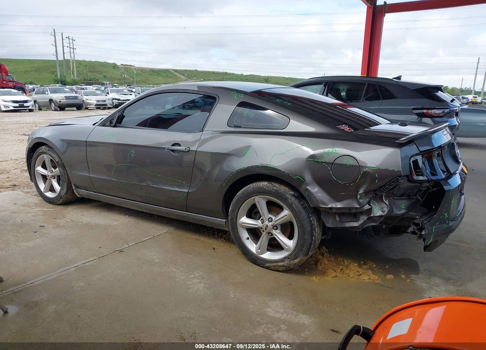 2013 FORD MUSTANG VIN: 1ZVBP8AM1D5260370