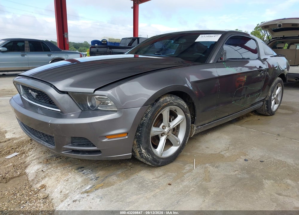 2013 FORD MUSTANG VIN: 1ZVBP8AM1D5260370