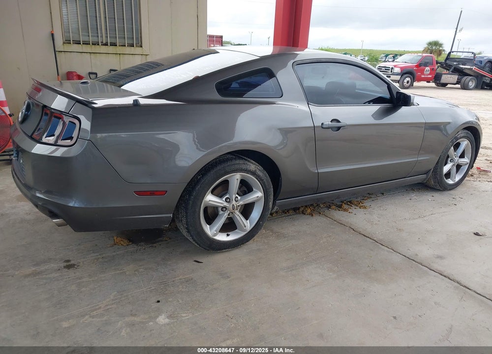 2013 FORD MUSTANG VIN: 1ZVBP8AM1D5260370