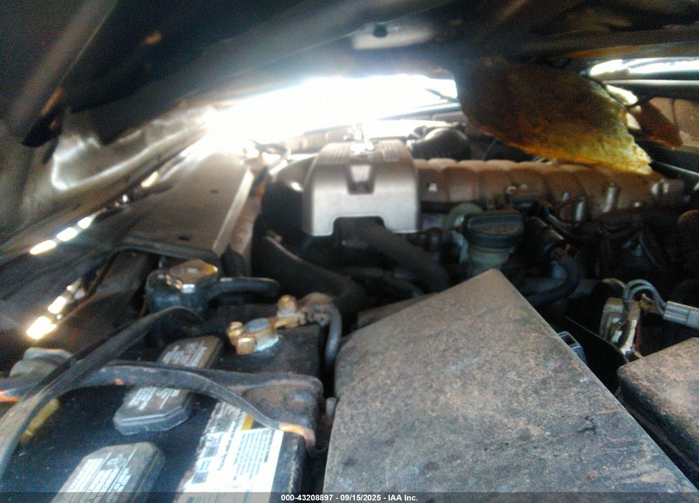 2004 TOYOTA 4RUNNER SR5 V8 VIN: JTEBT14R940029173