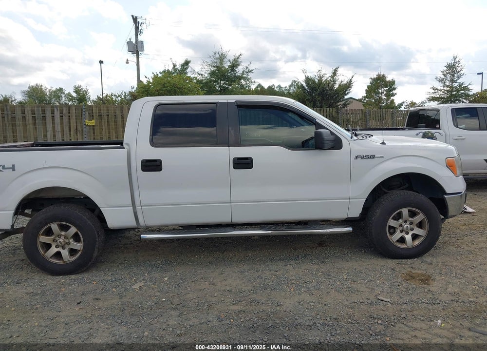 2010 FORD F-150 VIN: 1FTEW1E8XAFB95323