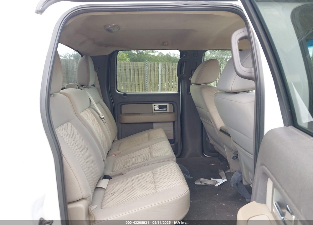 2010 FORD F-150 VIN: 1FTEW1E8XAFB95323