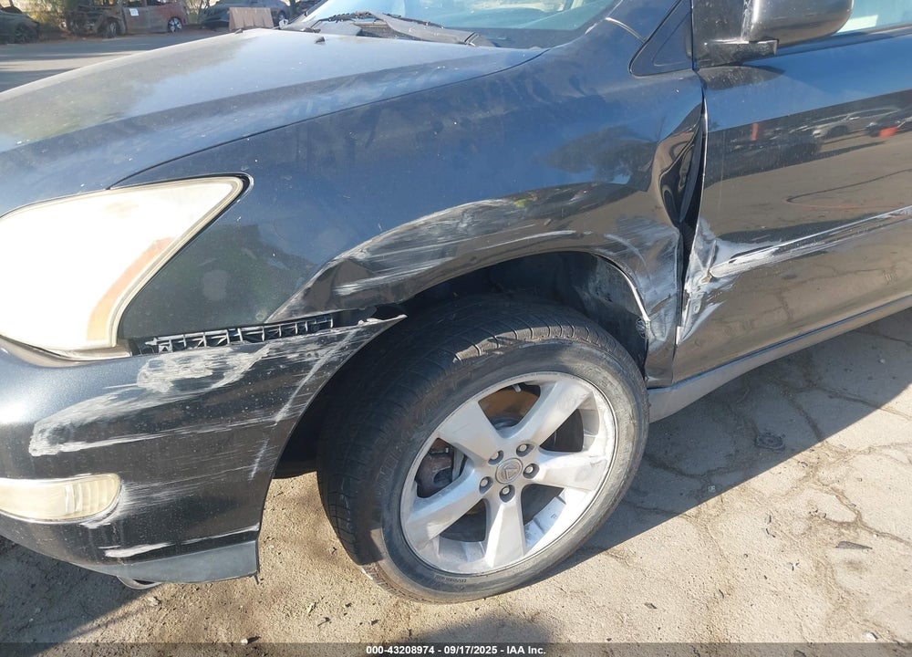 2006 LEXUS RX 330 VIN: JTJGA31U460062005