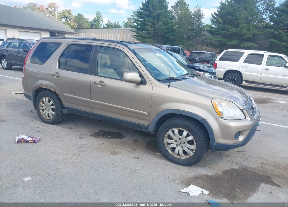2006 HONDA CR-V SE VIN: JHLRD78916C034871