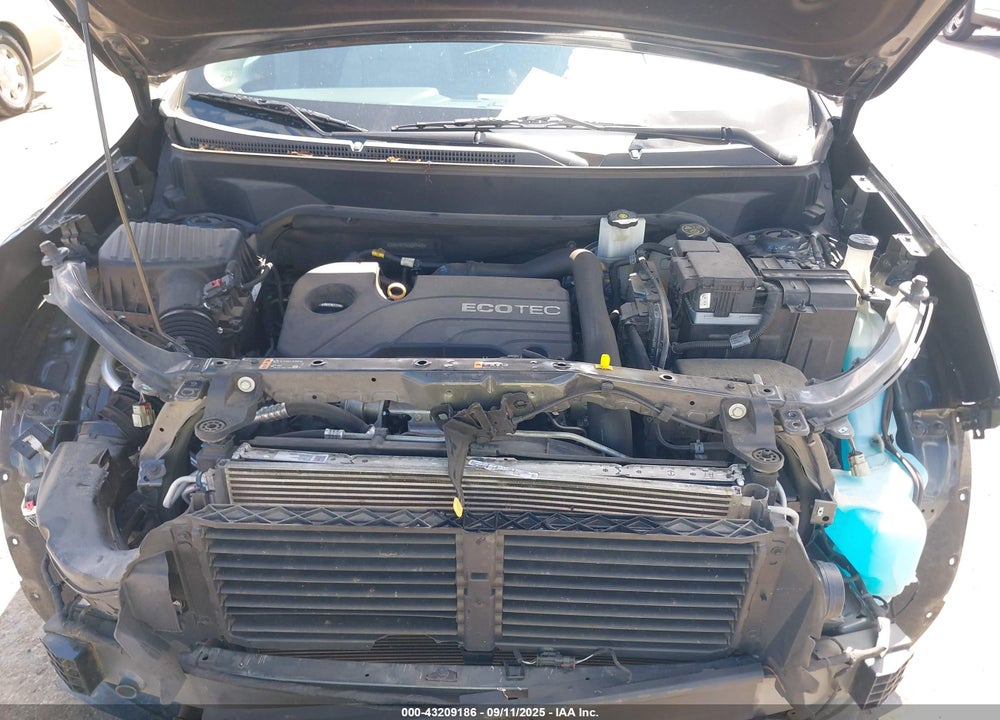 2019 CHEVROLET EQUINOX VIN: 2GNAXNEV6K6249440