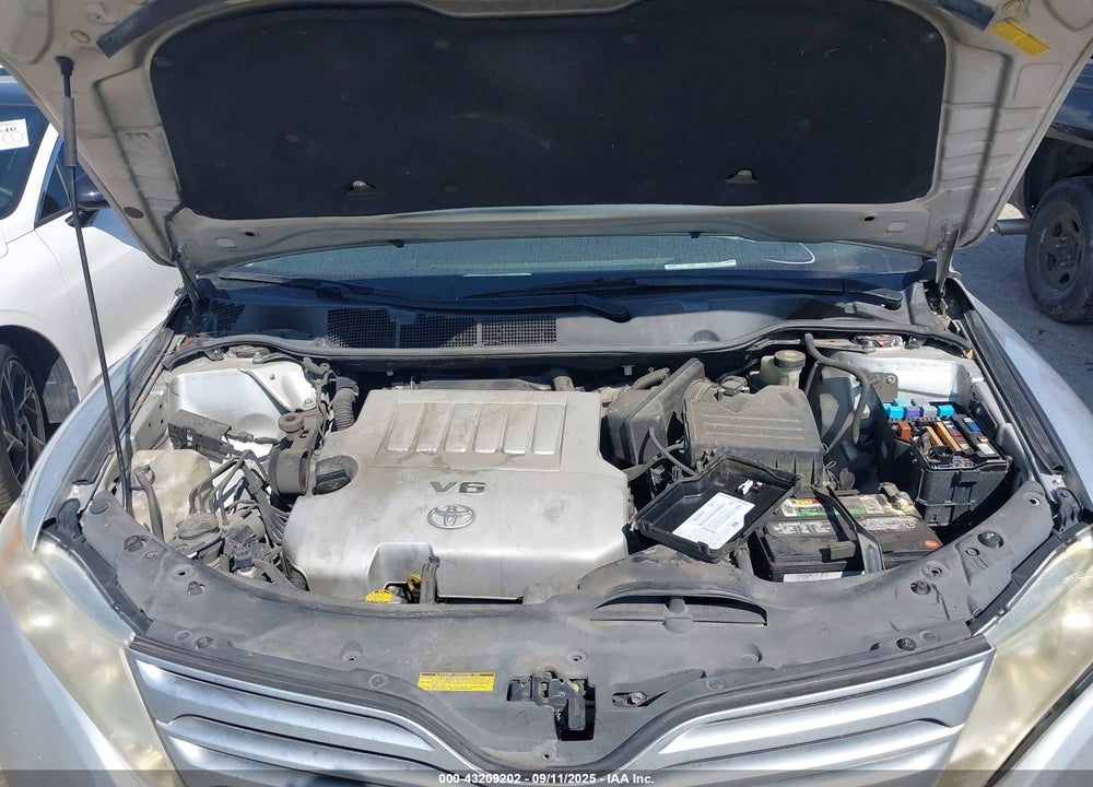 2009 TOYOTA VENZA VIN: 4T3BK11A39U010756