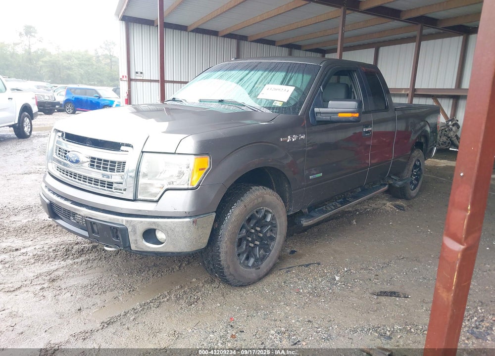 2013 FORD F-150 VIN: 1FTFX1ET7DFD38464