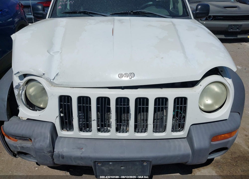 2003 JEEP LIBERTY SPORT VIN: 1J4GL48K63W548275