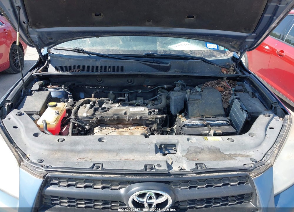2010 TOYOTA RAV4 VIN: 2T3BF4DV0AW051581