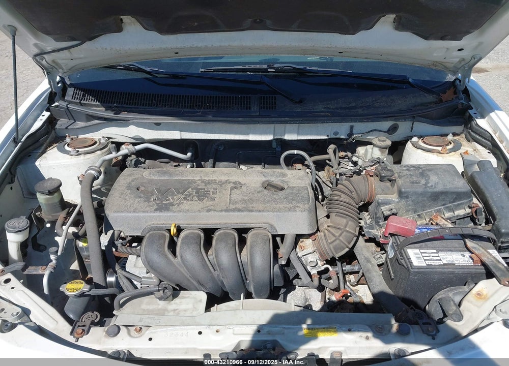 2006 PONTIAC VIBE VIN: 5Y2SL65896Z456620