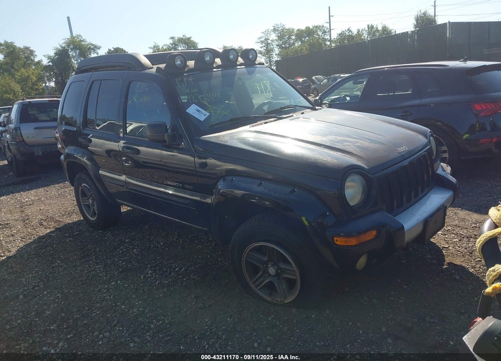 2003 JEEP LIBERTY RENEGADE VIN: 1J4GL38K73W622149