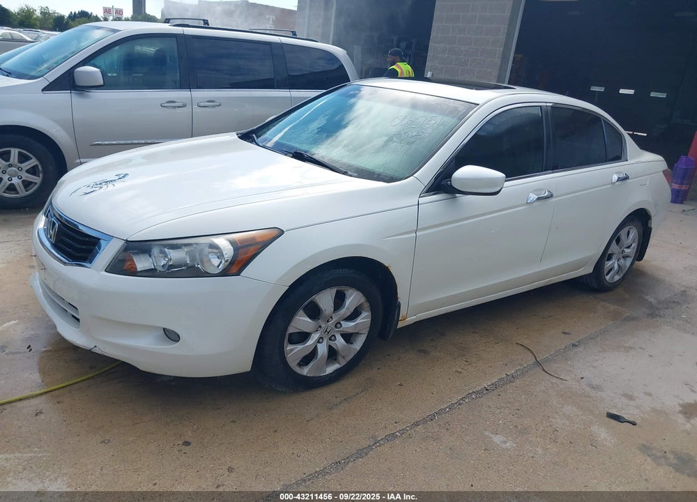 2010 HONDA ACCORD VIN: 1HGCP3F80AA008751