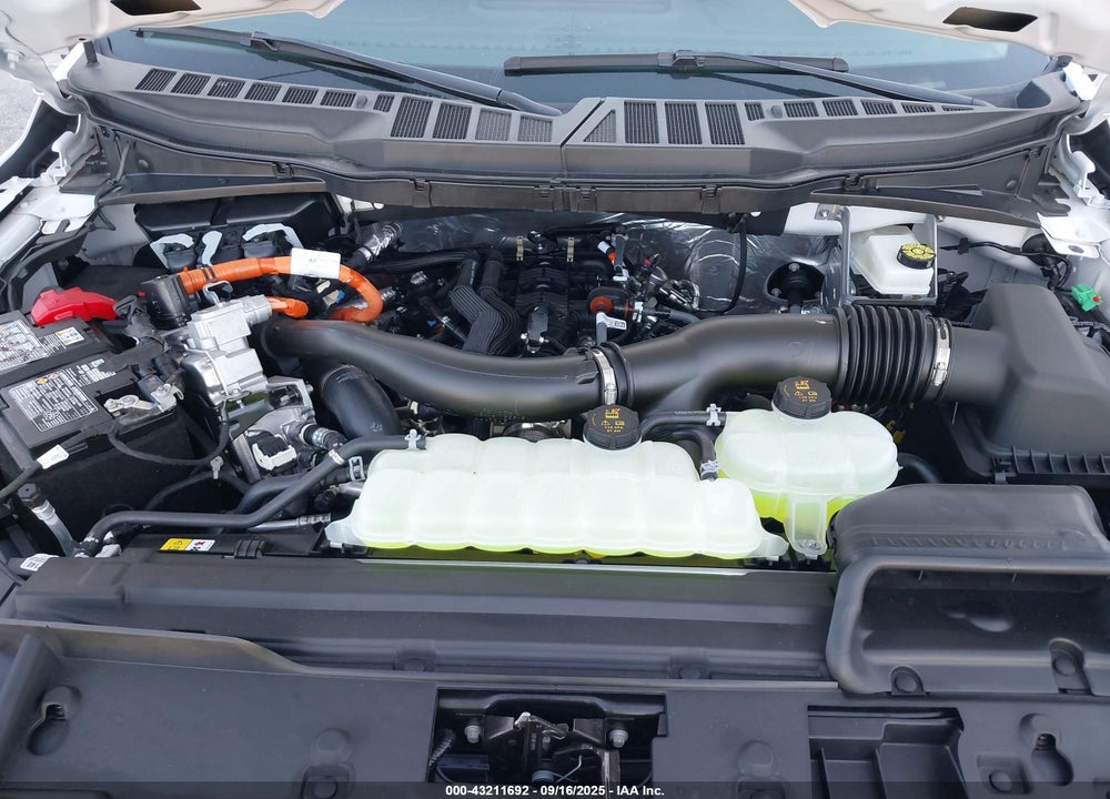 2025 FORD F-150 VIN: 1FTFW1FD7SFA69924