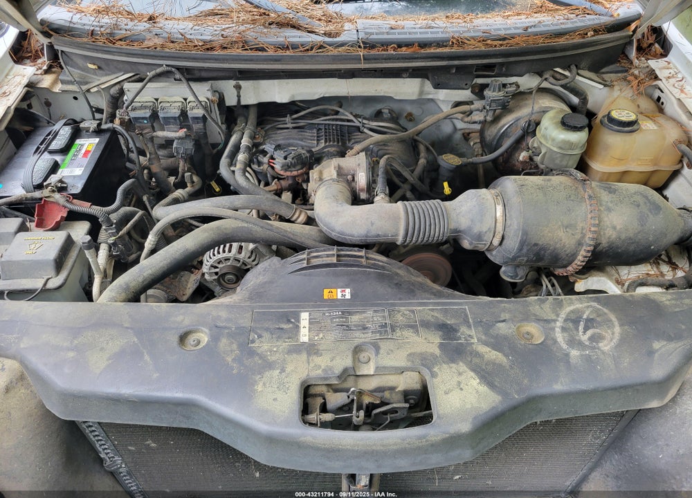 2006 FORD F-150 VIN: 1FTRF12286NB14382