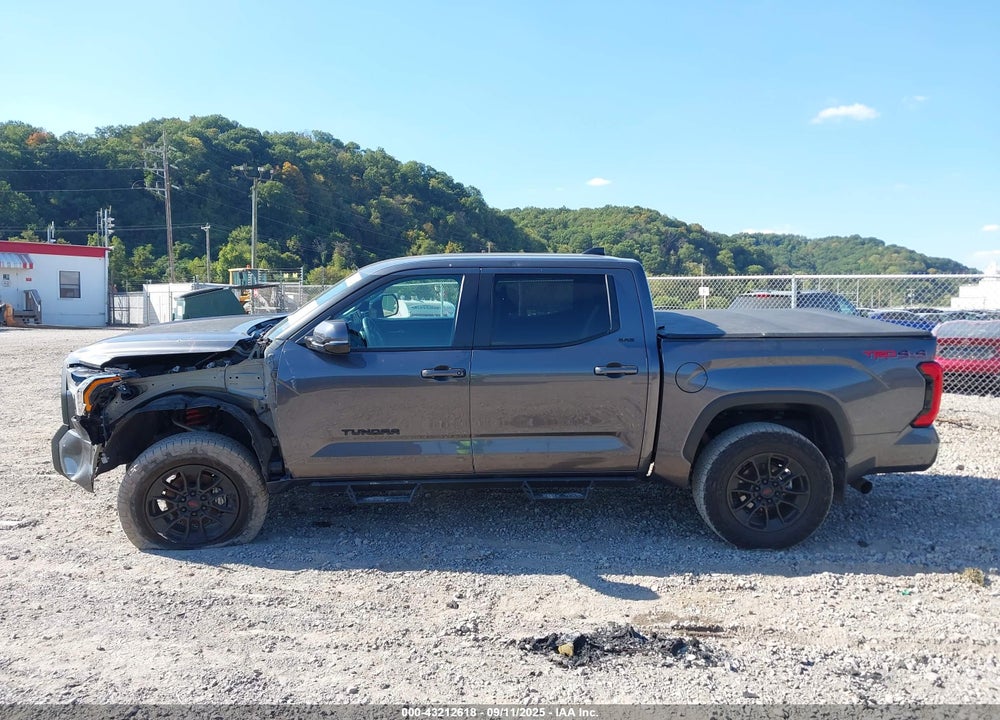 2024 TOYOTA TUNDRA VIN: 5TFLA5DB9RX152804