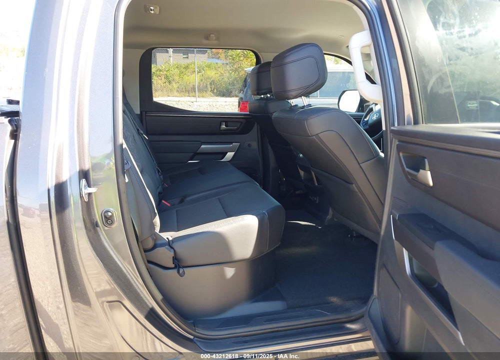 2024 TOYOTA TUNDRA VIN: 5TFLA5DB9RX152804