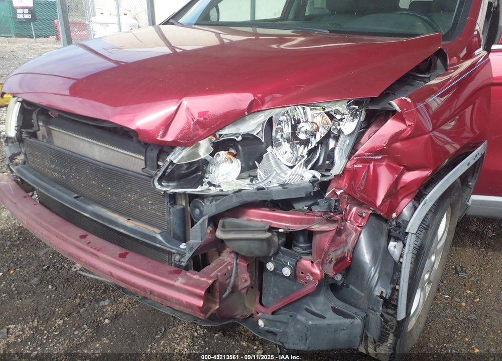 2009 HONDA CR-V VIN: 5J6RE487X9L069933
