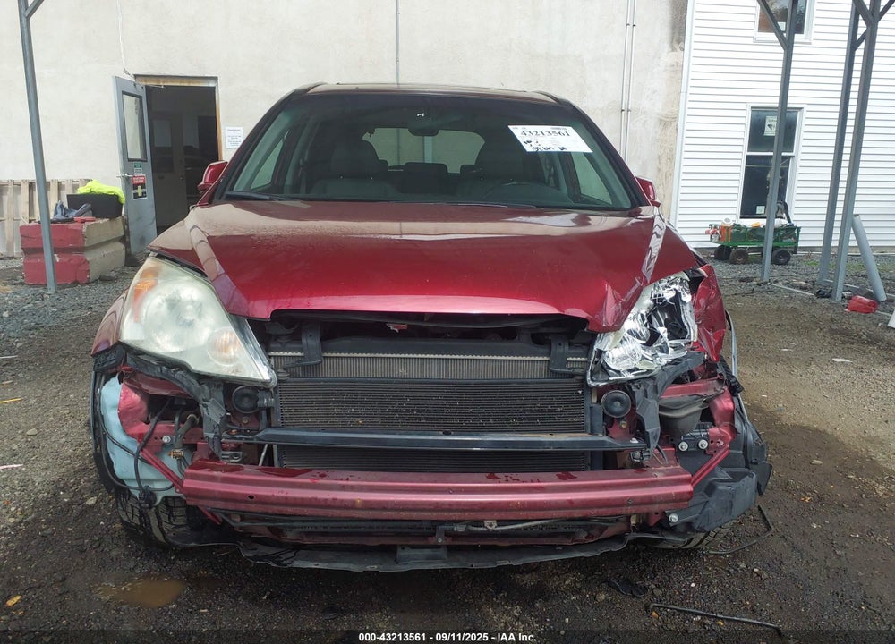 2009 HONDA CR-V VIN: 5J6RE487X9L069933