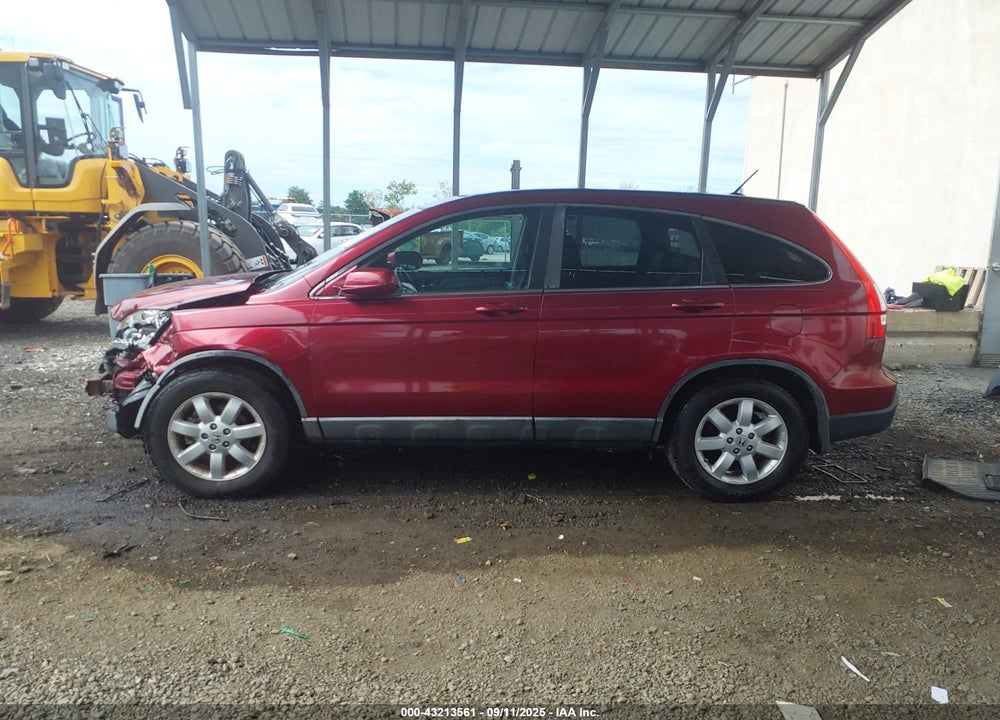 2009 HONDA CR-V VIN: 5J6RE487X9L069933