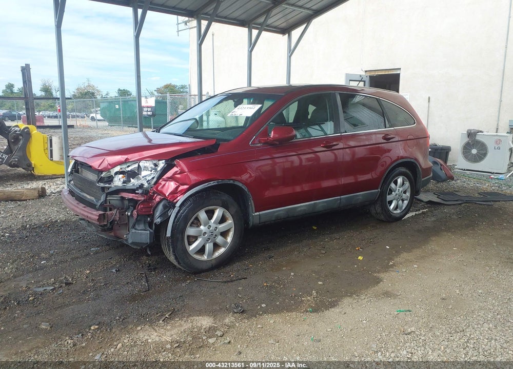 2009 HONDA CR-V VIN: 5J6RE487X9L069933