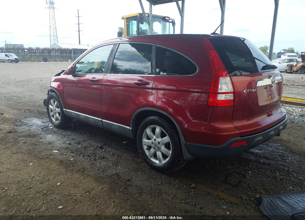 2009 HONDA CR-V VIN: 5J6RE487X9L069933