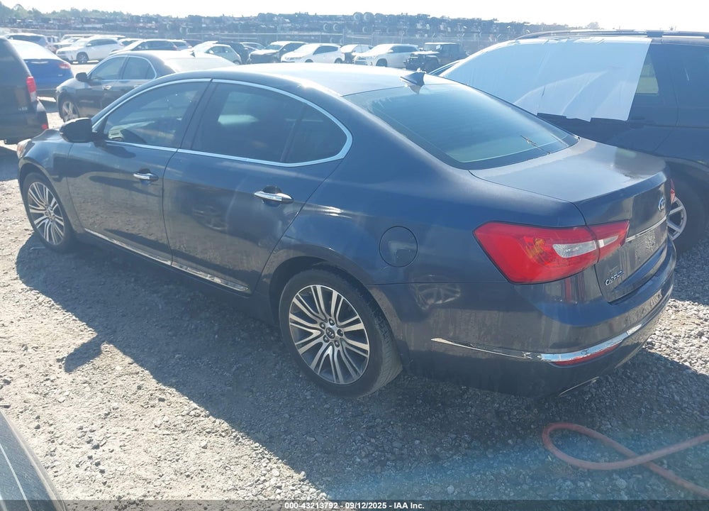 2014 KIA CADENZA VIN: KNALN4D75E5161707