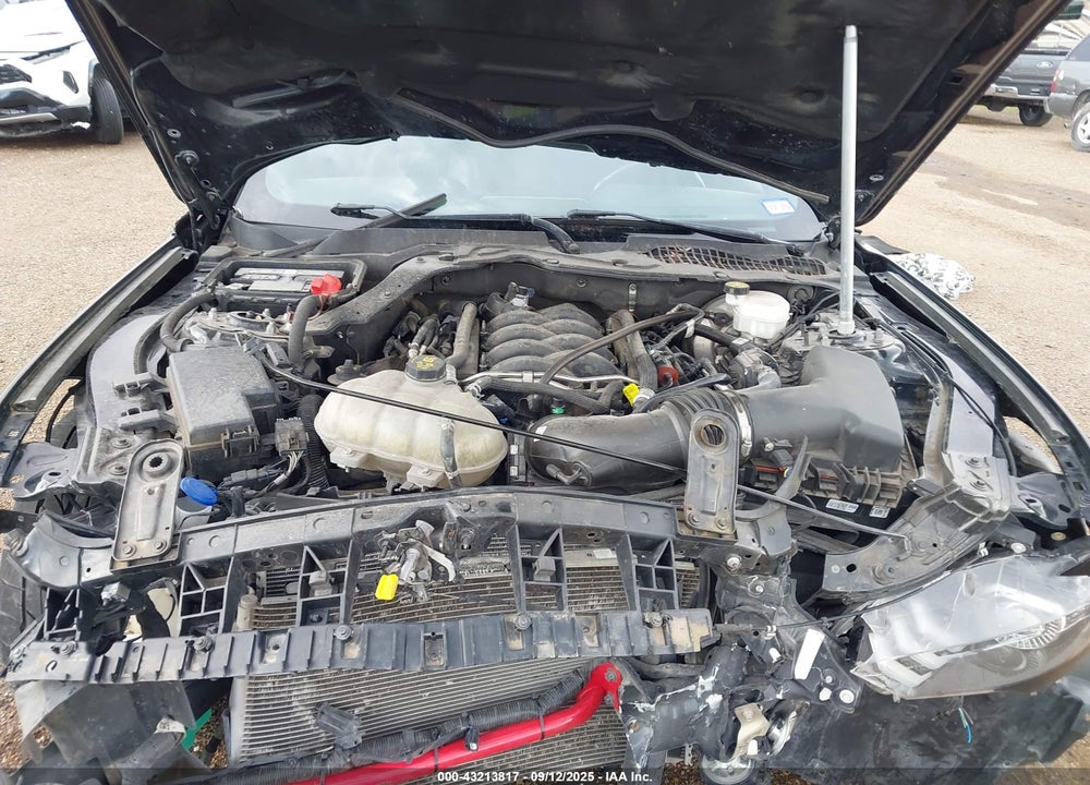 2021 FORD MUSTANG VIN: 1FA6P8CF7M5116461