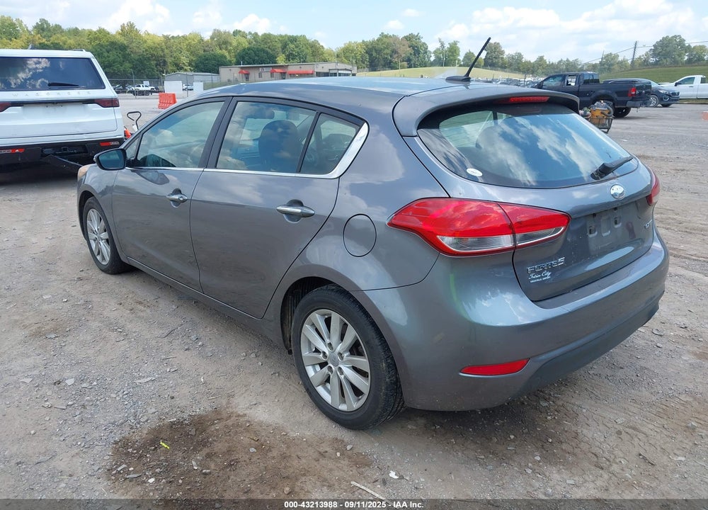 2014 KIA FORTE VIN: KNAFX5A84E5165225
