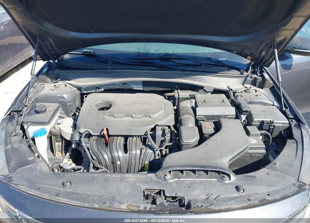 2019 KIA OPTIMA VIN: 5XXGT4L34KG329692