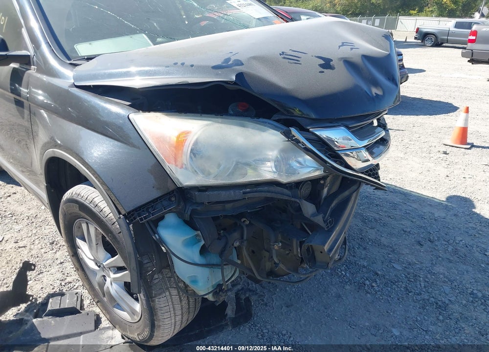 2010 HONDA CR-V VIN: 5J6RE4H5XAL010674